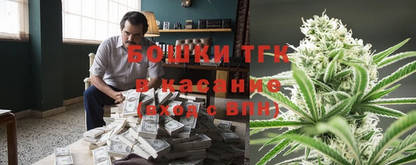дмт Медногорск