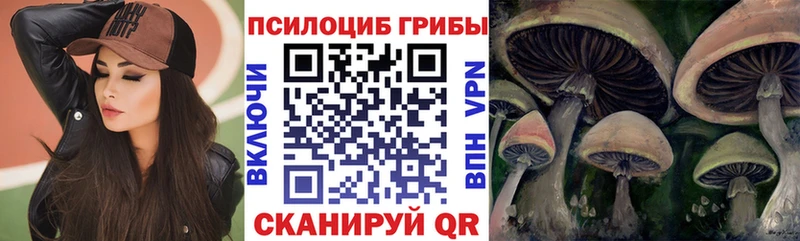 Псилоцибиновые грибы ЛСД  Суджа 