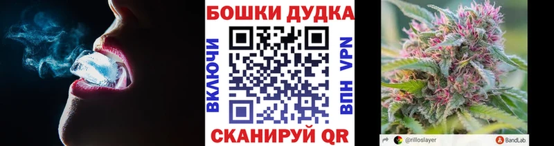 Канабис индика  продажа наркотиков  KRAKEN ONION  Суджа 